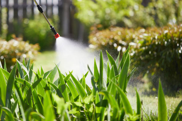 24/7 Emergency Fumigation Services experts in Ste. Genevieve, MO