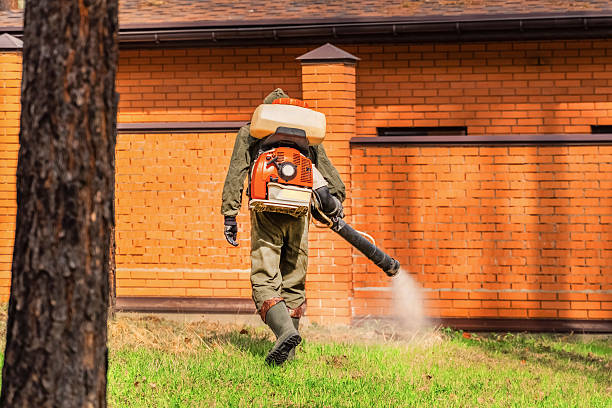 Trusted Mosquito Control service in Ste. Genevieve, MO - Nex Pest Control